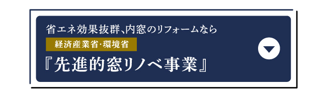 『先進的窓リノベ事業』