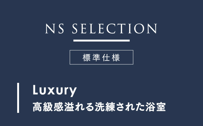 NS selection　標準仕様