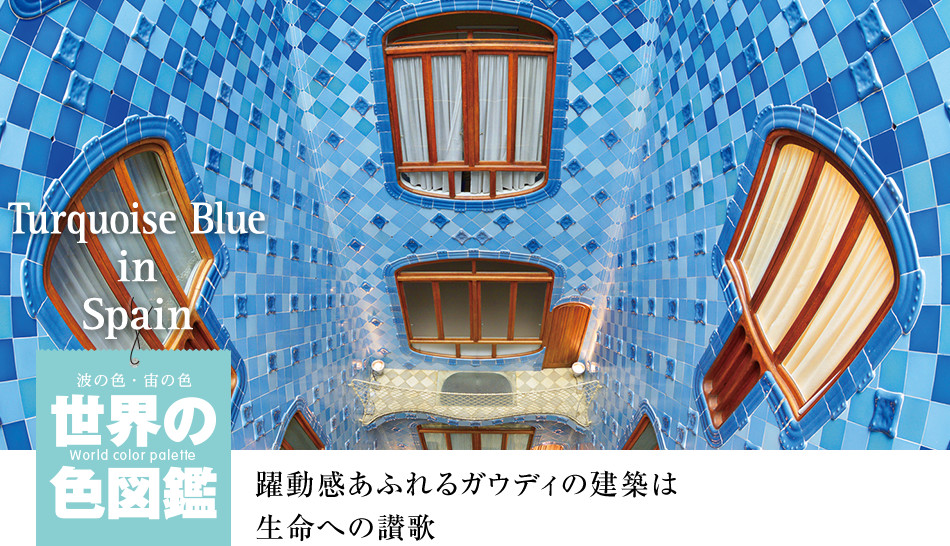 世界の色図鑑