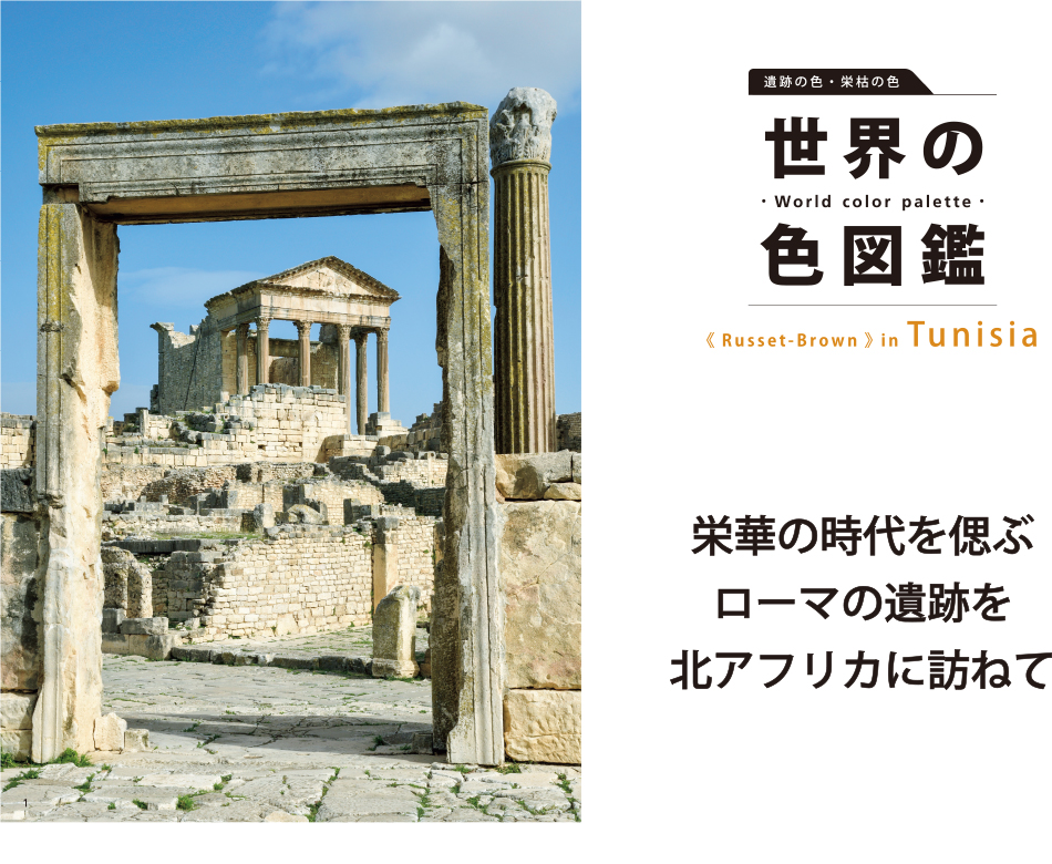 世界の色図鑑