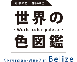 世界の色図鑑
