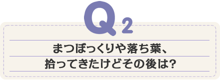 まつぼっくりや落ち葉、拾ってきたけどその後は？