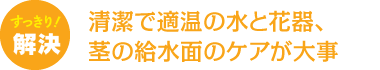 清潔で適温の水と花器、茎の給水面のケアが大事