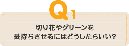 切り花やグリーンを長持ちさせるにはどうしたらいい？