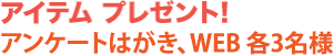 アイテム プレゼント!アンケートはがき、WEB 各3名様